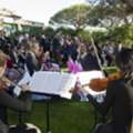 Elegant String Quartet Rental For Events | String Musicians Australia