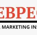 Webpeckers Digital Marketing Institute And Agency Offering Training Services