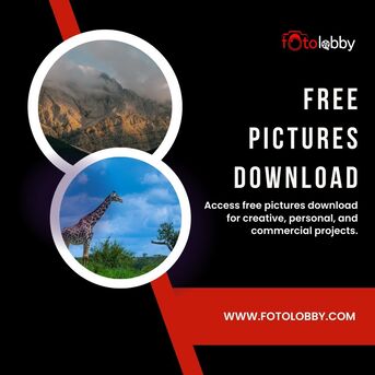 Gurgaon, Photography, Free Pictures Download