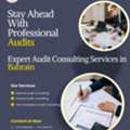 AUDIT CONSULTING