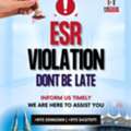 ESR CONSULTING