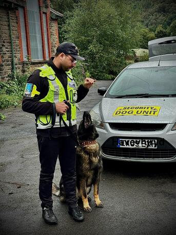 Birmingham, Security, Is Security Dog Guarding The Ultimate Solution For Stronger Site Protection?