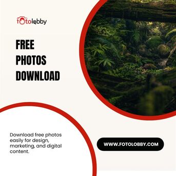 Gurgaon, Photography, Free Photos Download