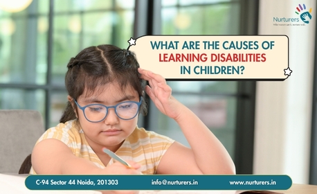Noida, Counseling, Top Causes Of Learning Disabilities In Children Every Parent Should Know