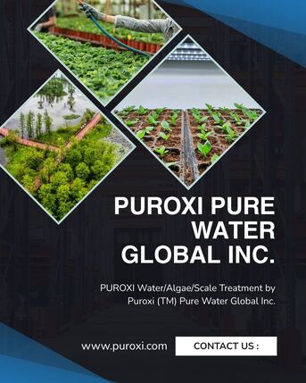 Vancouver, Cleaning, Ultrasonic Algae Treatment Solutions For Clean & Healthy Water