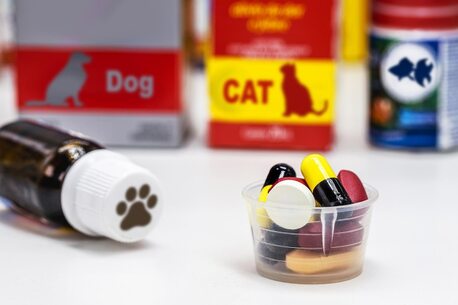 London, Health, Pet Supplements Online Tacoma For Healthy Nutrition, Immunity Support, And Daily Wellness