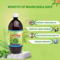 INR 660,  Bhumi Amla For Liver Health | Natural Ayurvedic Detox Remedy