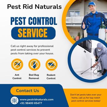 Chennai, Pest Control, Pest Control Chennai | Best Termite & Pest Services - 100% Natural | Since 1992