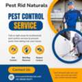 Pest Control Chennai | Best Termite & Pest Services - 100% Natural | Since 1992