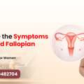What Are The Symptoms Of Blocked Fallopian Tubes? Complete Guide For Women