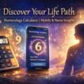 Numerology Calculator: Mobile & Name Insights For Life Path