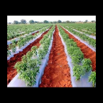 Mumbai, Materials, INR 1100,  Buy Agriculture Products Online - Shramik Krishi Kendra