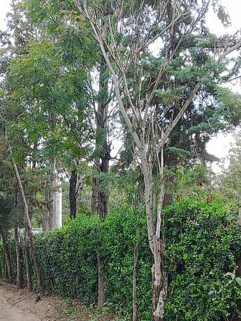 Nairobi, Residential Plots, KES 5000000,  43560 Sq. Feet,  Plots For Sale In Nanyuki