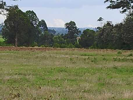 Nairobi, Residential Plots, KES 5000000,  43560 Sq. Feet,  Plots For Sale In Nanyuki