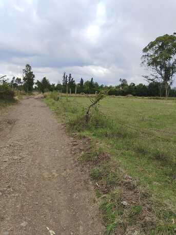 Nairobi, Residential Plots, KES 5000000,  43560 Sq. Feet,  Plots For Sale In Nanyuki