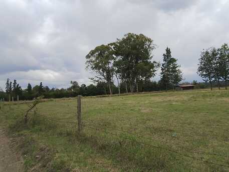 Nairobi, Residential Plots, KES 5000000,  43560 Sq. Feet,  Plots For Sale In Nanyuki