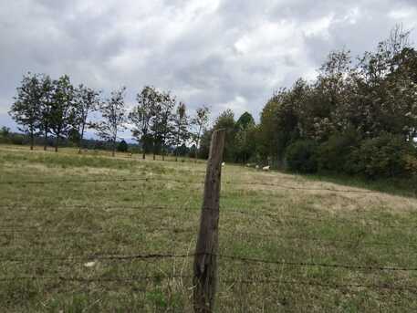 Nairobi, Residential Plots, KES 5000000,  43560 Sq. Feet,  Plots For Sale In Nanyuki