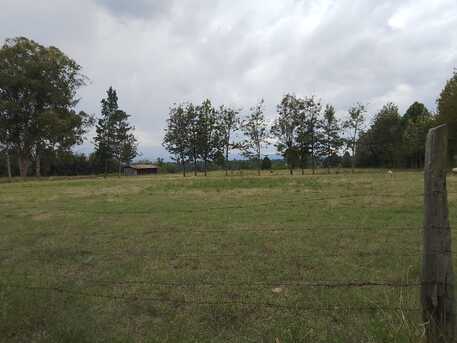 Nairobi, Residential Plots, KES 5000000,  43560 Sq. Feet,  Plots For Sale In Nanyuki