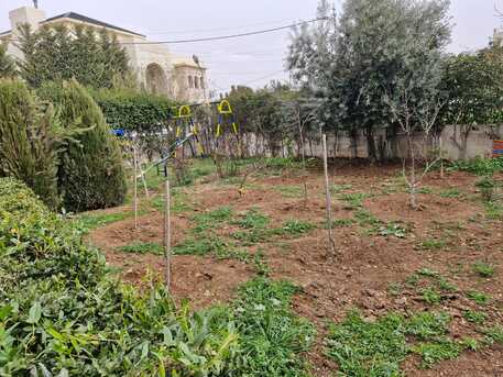 Amman, Apartments/Houses, JOD 20000/year,  4 BR,  390 Sq. Meter,  Ground Floor Apartment For Rent In Dabouq