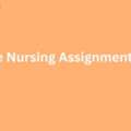 How Can Online Nursing Assignment Help Improve Grades?