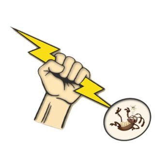 New York, Pest Control, Exterminator Near Me In Buffalo