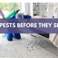Professional Pest Control Thomastown &ndash; Your Local Pest Experts