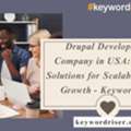 Drupal Development Company In USA: Expert Solutions For Scalable Digital Growth