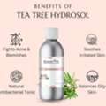 INR 199,  Tea Tree Hydrosol For Cosmetic & Beauty Products | Raasa Oils