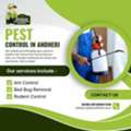 Pest Control In Andheri - Venus Pest Control