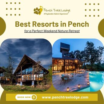 Bhopal, Travel, Best Resorts In Pench For A Relaxing Nature Stay