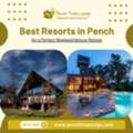 Best Resorts In Pench For A Relaxing Nature Stay
