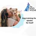 The Dog Wizard - Dog Training Burlington