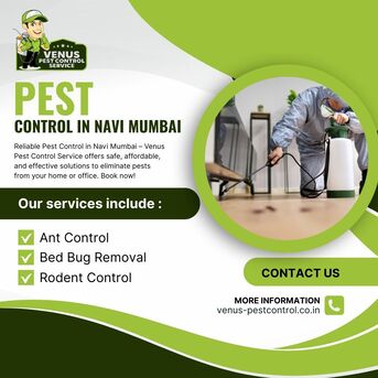 Mumbai, Pest Control, Pest Control In Navi Mumbai - Venus Pest Control