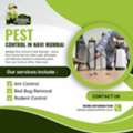 Pest Control In Navi Mumbai - Venus Pest Control