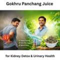 INR 542,  Gokhru Panchang Juice For Kidney Detox & Urinary Health