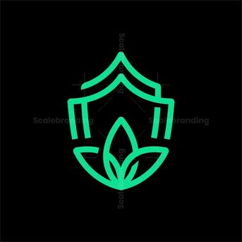 Chennai, Education, Brochure Design Chennai