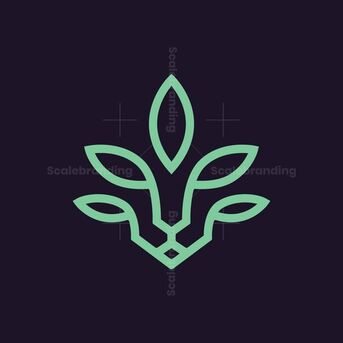 Chennai, Education, Brochure Design Chennai