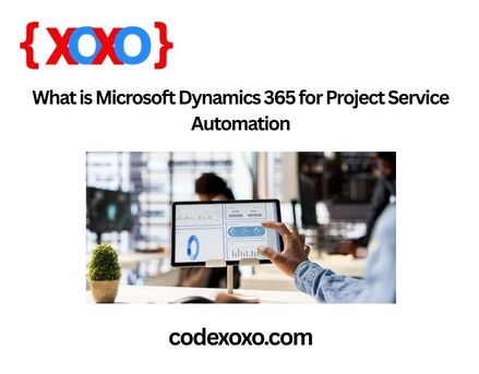 New York, Software Development, What Is Microsoft Dynamics 365 For Project Service Automation?