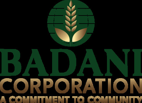Ahmedabad, Food & Drink, Best Blanched Peanuts Supplier & Exporter From India &ndash; Badani Corporation