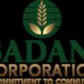 Best Blanched Peanuts Supplier & Exporter From India &ndash; Badani Corporation