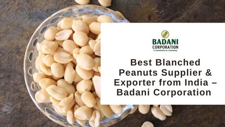 Ahmedabad, Food & Drink, Best Blanched Peanuts Supplier & Exporter From India &ndash; Badani Corporation