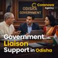 Complete Guide To Government Liaison Services For Businesses