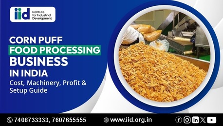 Lucknow, Business, Corn Puff Making Machine India &mdash; Plant Setup & Business Guide