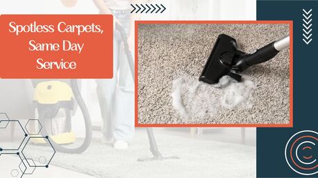 Brisbane, Cleaning, Carpet Cleaning Fortitude Valley &ndash; Refresh Your Carpets Instantly