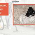 Carpet Cleaning Fortitude Valley &ndash; Refresh Your Carpets Instantly