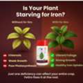 Premium Iron Supplement For Crops & Potassium Sulphate Fertilizer For Higher Yield