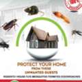 Pest Control Services