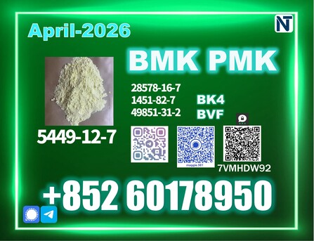 The Hague, Materials, EUR 99,  Premium BMK 5449-12-7 PMK Available, Fast Production Lead