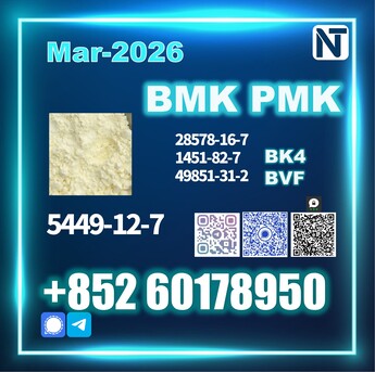 The Hague, Watches, EUR 99,  High Purity BMK 5449-12-7 PMK, Consistent Batch Output