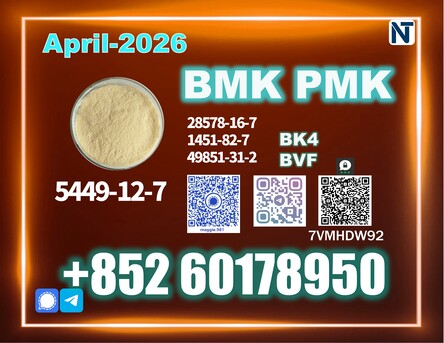 The Hague, Watches, EUR 99,  High Purity BMK 5449-12-7 PMK, Consistent Batch Output